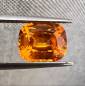 Preview: Mandarin Granat